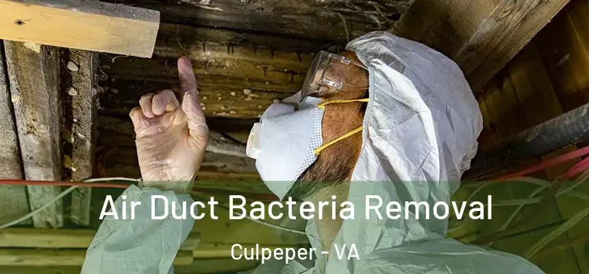 Air Duct Bacteria Removal Culpeper - VA