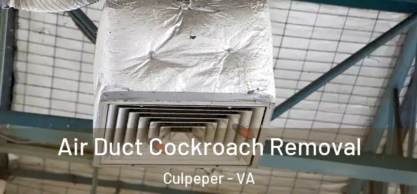 Air Duct Cockroach Removal Culpeper - VA