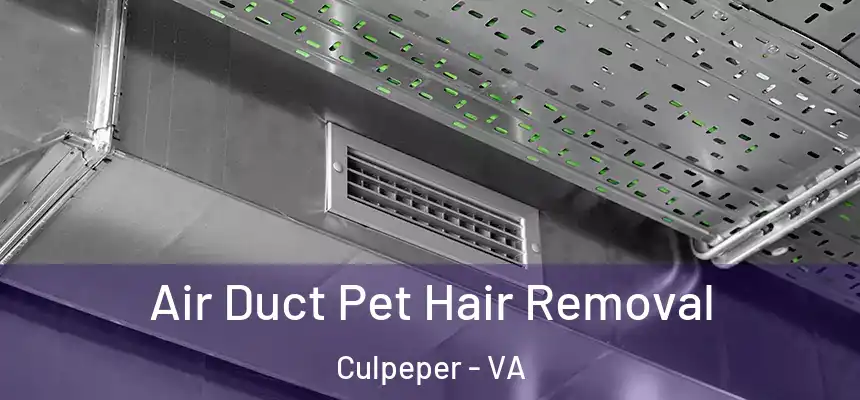 Air Duct Pet Hair Removal Culpeper - VA