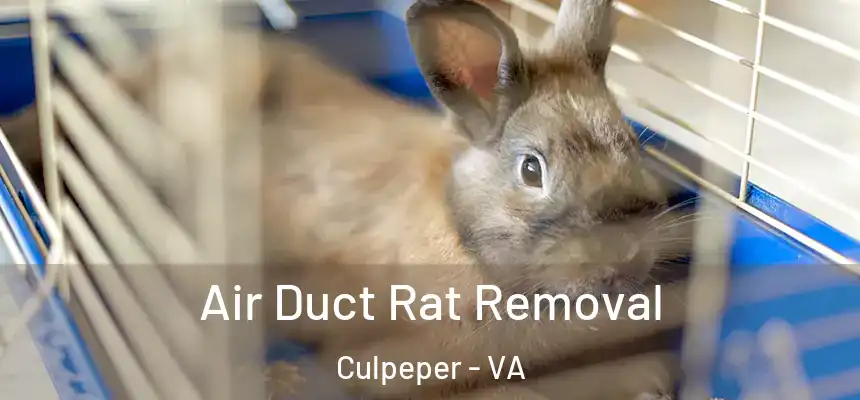 Air Duct Rat Removal Culpeper - VA