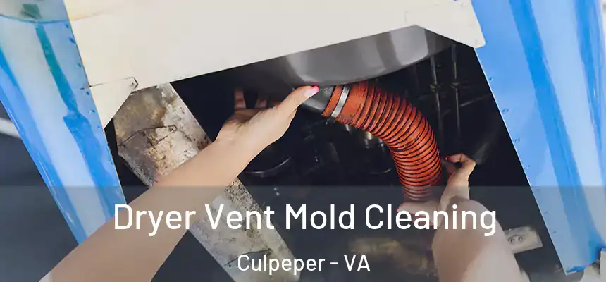Dryer Vent Mold Cleaning Culpeper - VA