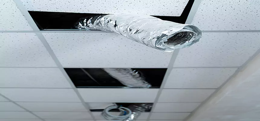 Our Air Duct Pet Hair Removal Services in Culpeper, VA