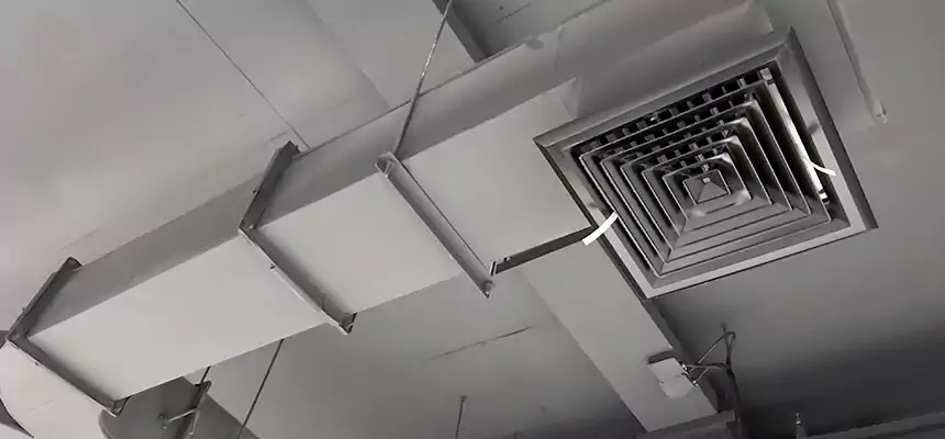 Restorative Allergy Relief Vent Cleaning – Coil, Blower & Housing Detail in Culpeper