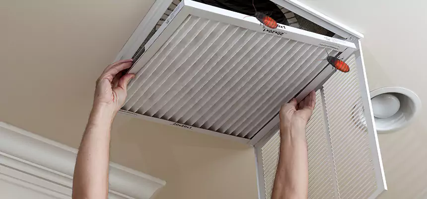 Our Insect Removal from Air Ducts Services in Culpeper, VA