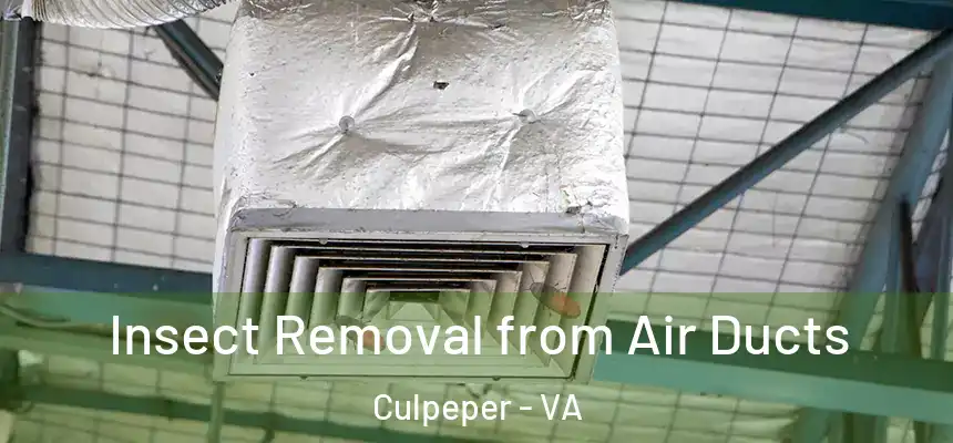 Insect Removal from Air Ducts Culpeper - VA