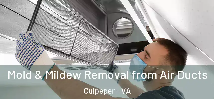 Mold & Mildew Removal from Air Ducts Culpeper - VA