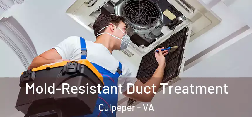  Mold-Resistant Duct Treatment Culpeper - VA