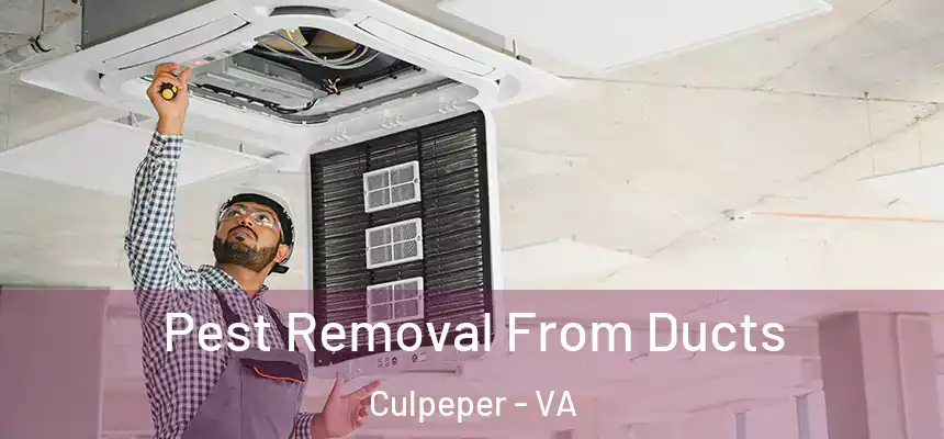  Pest Removal From Ducts Culpeper - VA