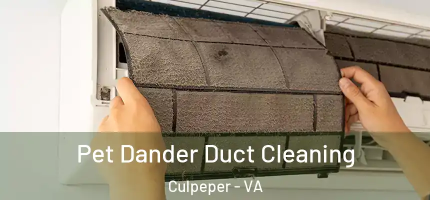Pet Dander Duct Cleaning Culpeper - VA