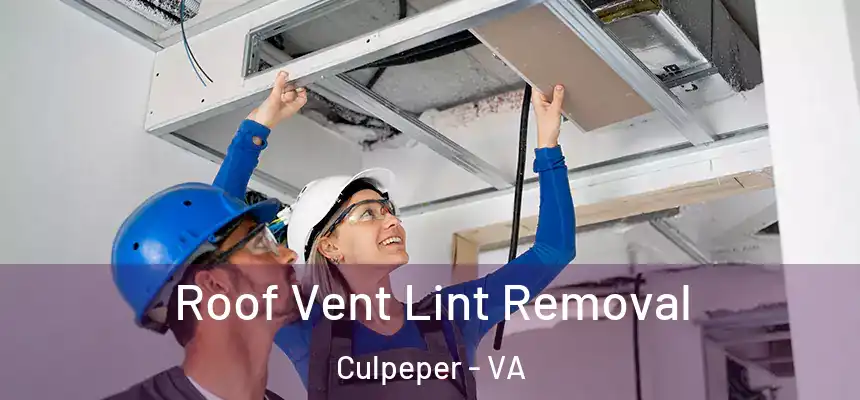  Roof Vent Lint Removal Culpeper - VA