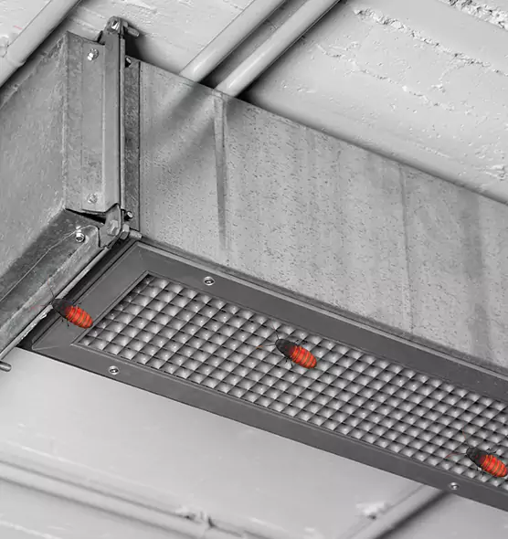 Affordable Insect Removal from Air Ducts in Culpeper, VA