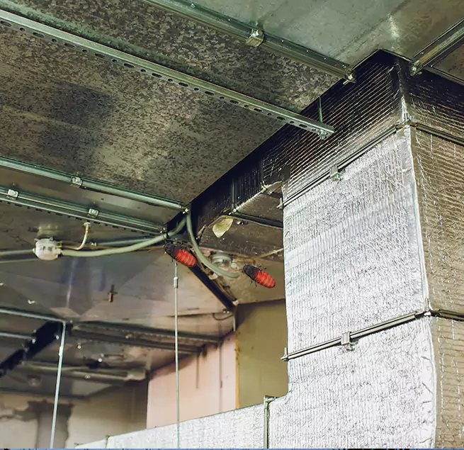 Why Homeowners & Businesses Trust Us in Culpeper, VA?