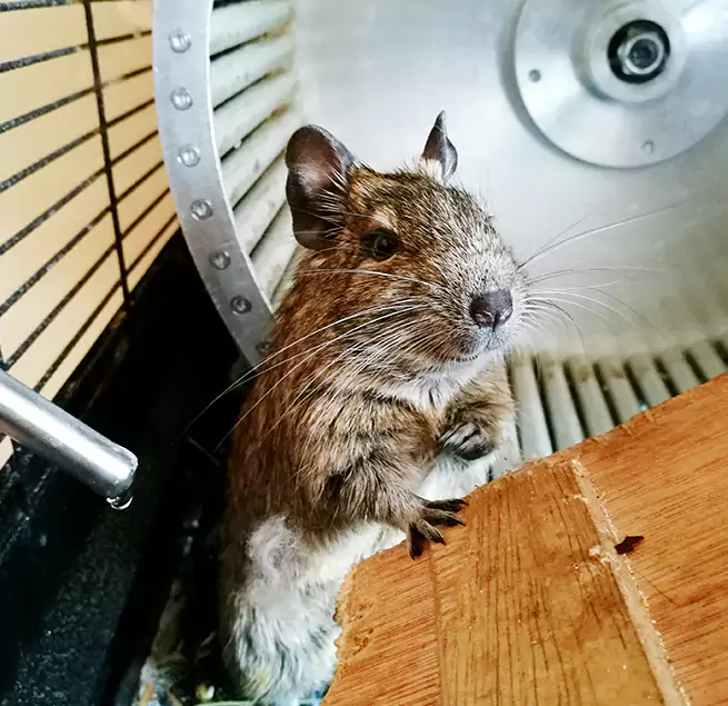 Why Homeowners & Businesses Trust Us Culpeper, VA?