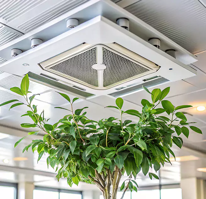 Why Homeowners & Businesses Trust Us in Culpeper, VA